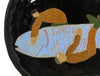 Fish Wrestle I (Handmade Plate)