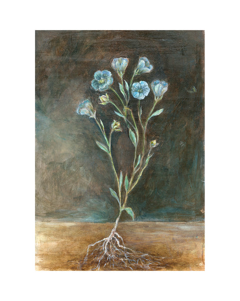 Flax Flower (Limited Edition Print)