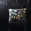 Firework Flotilla Cushion