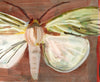 Green Oak Roller Moth (Original Framed Painting)