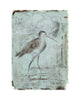 Godwit Walking (Original Framed Painting)