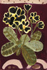Gold Lace Primula (Original Framed Painting)