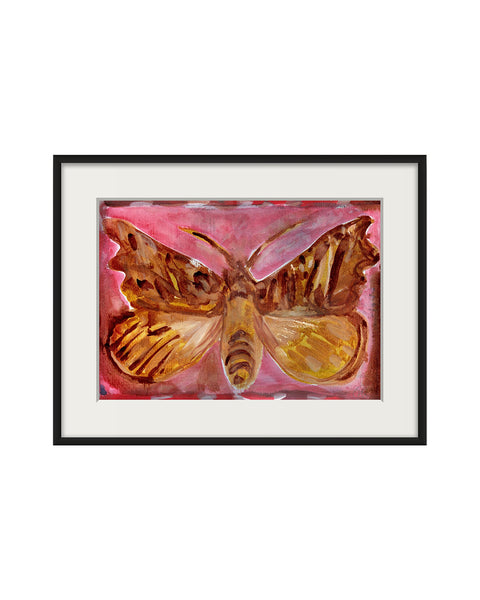 Herald Moth (Original Framed Painting)