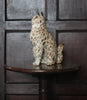 Confetti Tabby (Ceramic Sculpture)
