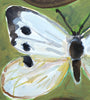 Large White Butterfly (Original Framed Painting)