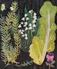Lily of the Valley (Chard & Viola) (Original Oil Painting)