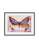 Long Tailed Blue Butterfly (Original Framed Painting)