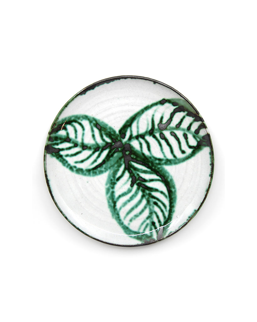 Magnolia Leaf I