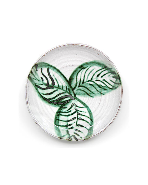 Magnolia Leaf II