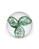 Magnolia Leaf II