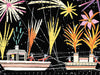 Firework Flotilla Cushion