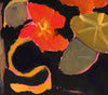 Night Nasturtiums (Original Oil Painting)