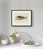Folk Art Fish No18