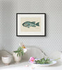 Folk Art Fish No2