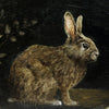 European Brown Rabbit (Hand Painted Tray)