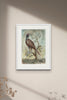 Painted Bird | Large Pheasant