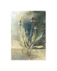 Ribwort Plantain (Original Painted Panel)