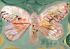 Puss Moth (Original Framed Painting)