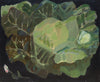 Resplendent Cabbage (Original Oil Painting)