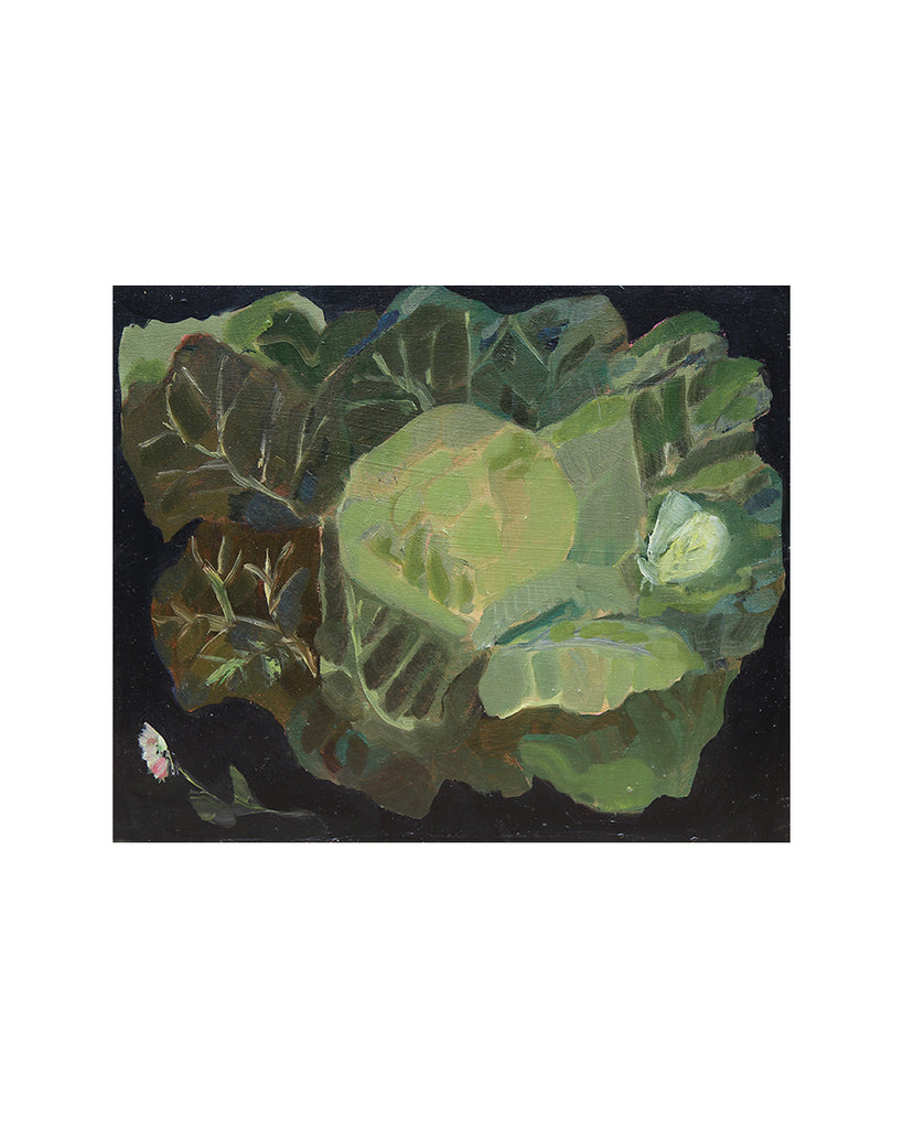 Resplendent Cabbage (Original Oil Painting)