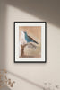 Painted Bird | Roller