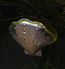 Tin Decoration (Folded Scallop Shell)