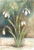 Snowdrops (Limited Edition Print)