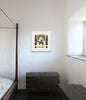Stone Fruit (Original Framed Painting)