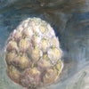 Study for Artichoke (Limited Edition Print)