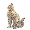 Confetti Tabby (Ceramic Sculpture)