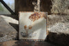 Tapestry Bear Paw (Handmade Tile)