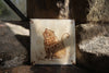 Tapestry Cat (Handmade Tile)