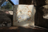 Tapestry Frog I (Handmade Tile)