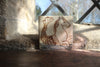 Tapestry Hippocampus (Handmade Tile)