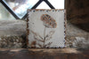 Tapestry Tansy Flower (Handmade Tile)