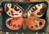 Garden Tiger Moth (Original Framed Painting)