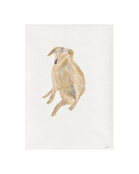 Blonde Labrador (Framed Original)