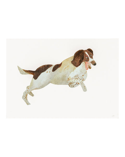 Springer Spaniel (Framed Original)