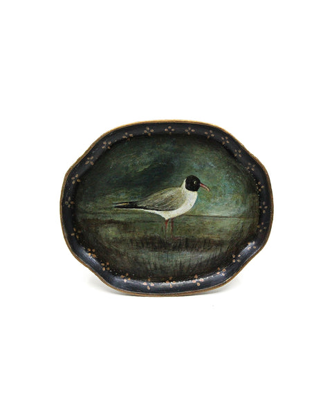 Black-Headed Gull (Hand Painted Tray)
