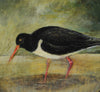 Oystercatcher (Hand Painted Tray)