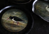 Oystercatcher (Hand Painted Tray)