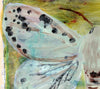 White Ermine Moth (Original Framed Painting)