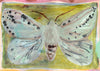 White Ermine Moth (Original Framed Painting)