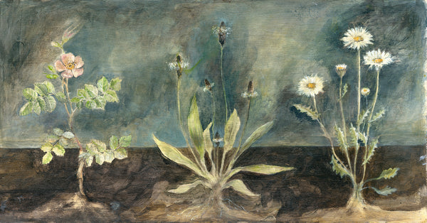 Wild Flower Triptych (Limited Edition Print) – THE SHOP FLOOR PROJECT ltd