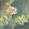 Wild Flower Triptych (Original Painted Panel)