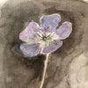 Wild Geranium, Clover & Cranesbill (Original Framed Painting)