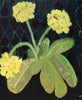 Yellow Candelabra (Original Oil Painting)