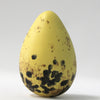 Sandwich Tern (Ochre) - Museum Egg (with stand)