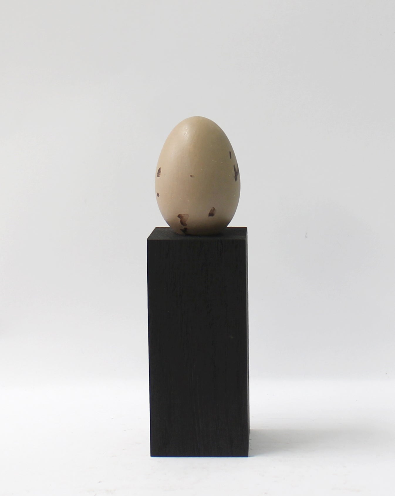 KOTOBUKIYA - 【eggs】 Kotobukiya Megami Device Sitara Kaneshiya [Tenki] Ver