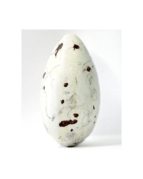 Great Auk No.3 - Museum Egg (with stand)